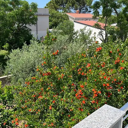 Glavanci 600m From The Sea By Ta Leut Agency Διαμέρισμα Privlaka (Zadar)